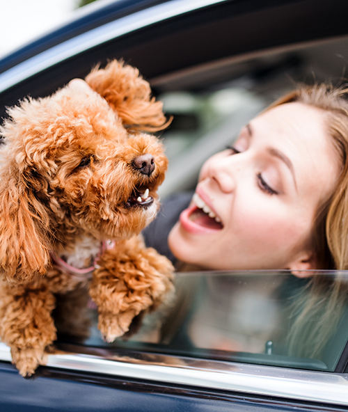 woman with dog in car