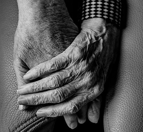 photo of wrinkled hands